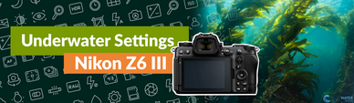 Nikon Z6III Underwater Settings Nikon Z6III Underwater Settings